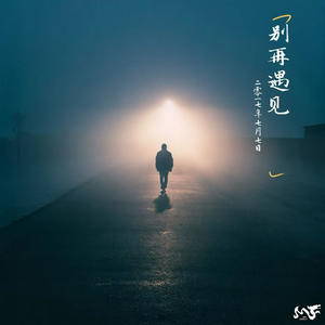 别再遇见 (伴奏)