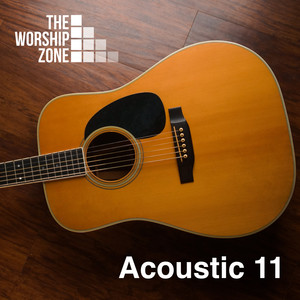 Acoustic 11