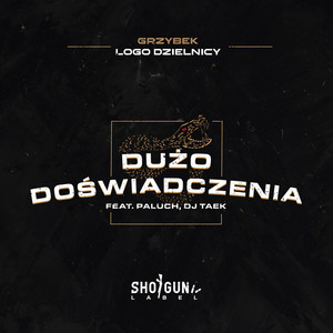 Dużo doświadczenia (Explicit)