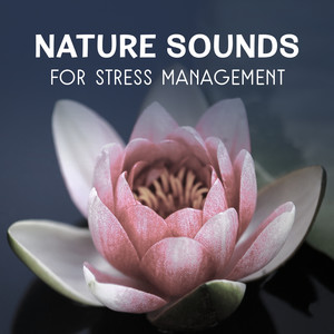 Nature Sounds for Stress Management – Calming Sounds, Inner Harmony, Self Hypnosis Therapy, Healing Natural Meditation, Music for Deep Sleep