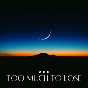 Too Much To Lose