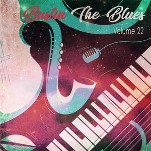 Bustin the Blues, Vol. 22