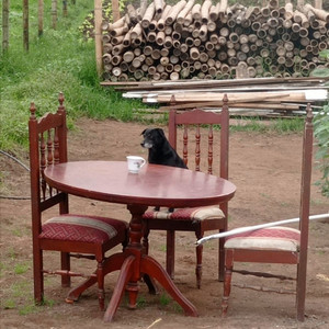 Esos ojos tan bonitos (Explicit)