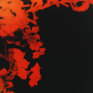 take care (feat. Shvrs)