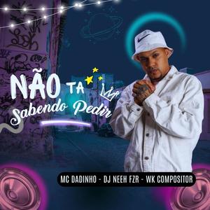 Não Ta Sabendo Pedir (Explicit)