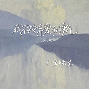 宋晚星 - 我不放弃爱的勇气 (女版伴奏)