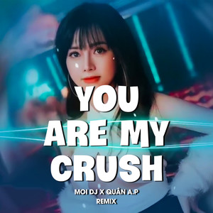 You Are My Crush (Remix)