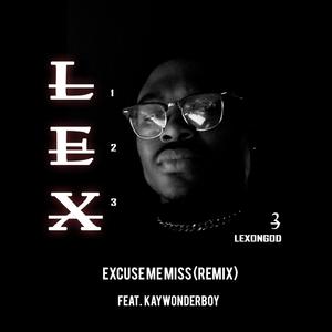 Excuse Me Miss (feat. Kaywonderboy) [Explicit]