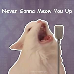 Never Gonna Meow You Up