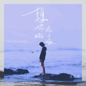 想你啦在干嘛封面