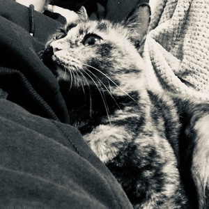 杀死这个世界 -