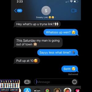 Sneaky Link (feat. Wouskiii) (Explicit)