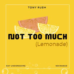 Not Too Much (Lemonade) (feat. Day Underscore & Noiramad) [Explicit]