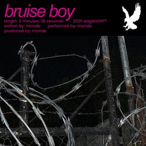 bruise boy (Explicit)