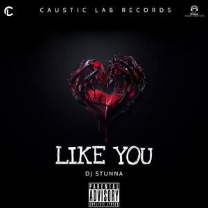 Like You (Groovy) [Explicit]