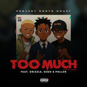 Too Much (feat. Sego, Drizzle & Pollen) (Explicit)