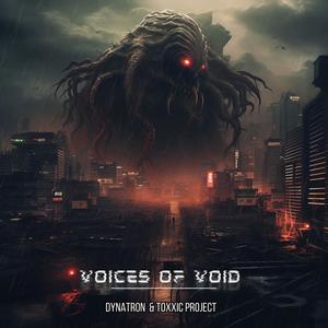 Voices of Void