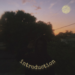 Introduction (Explicit)