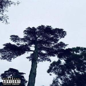 Bad Day :( (feat. Manny Blaze) (Explicit)