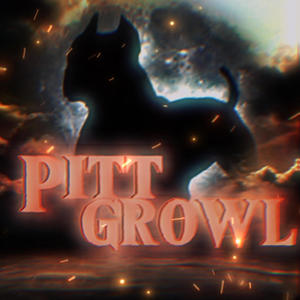 Pitt Growl (feat. Ilydoods, 810 Jalen & SL Dee) (Explicit)
