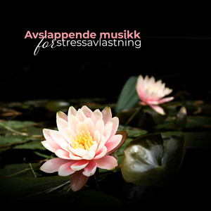 Avslappende musikk for stressavlastning – Meditasjon, Yoga, Spa lyder