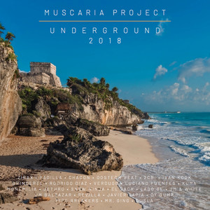 Muscaria Project Underground 2018