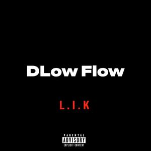 Dlow Flow (Explicit)