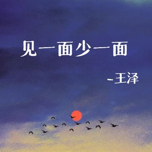 见一面少一面 (伤感版)
