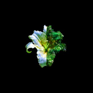 ¿Llorarías por mí? (Explicit)