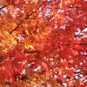 You are Safe, You are Loved, You are Secure