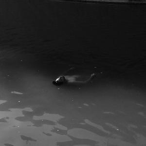 Echar a correr (160 one shot #2) (feat. KOS) (Explicit)