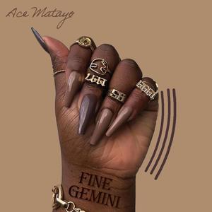 Fine Gemini (Explicit)