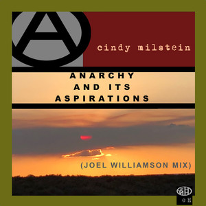 Anarchy and Its Aspirations (Joel Williamson Mix)