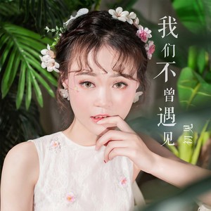 路过我的你 (伴奏)