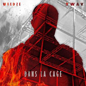 Dans la cage (feat. Ywav)