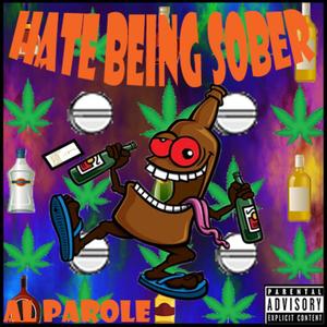 Hate Being Sober (Explicit)