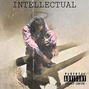 INTELLECTUAL (Explicit)