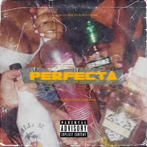 Perfecta (feat. Centi Dale Play) [Explicit]