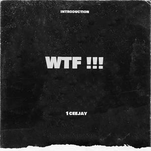 WTF !!! (Explicit)