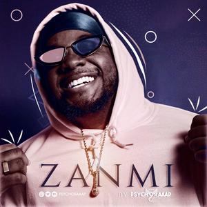 ZANMI (Radio Edit)