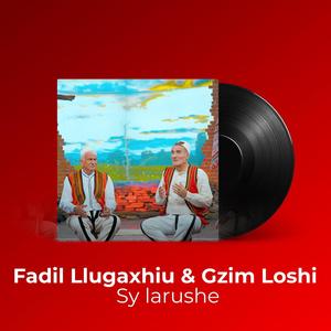 Sy larushe