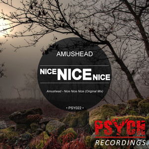 Nice Nice Nice (Original Mix)
