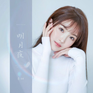 明月夜 (DJ京仔版)