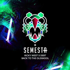 Back To The Oldskool (Original Mix)