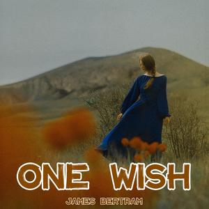 One Wish (Explicit)