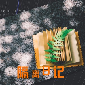 隔离日记封面