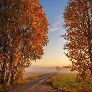 对不起，谢谢你 (prod.by金桔ORANG3)