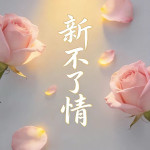 新不了情 (撕裂版)封面