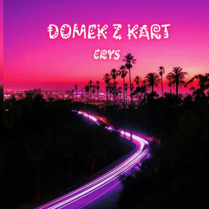 DOMEK Z KART