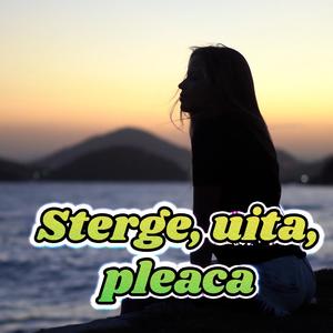 Sterge, uita, pleaca (Remix)